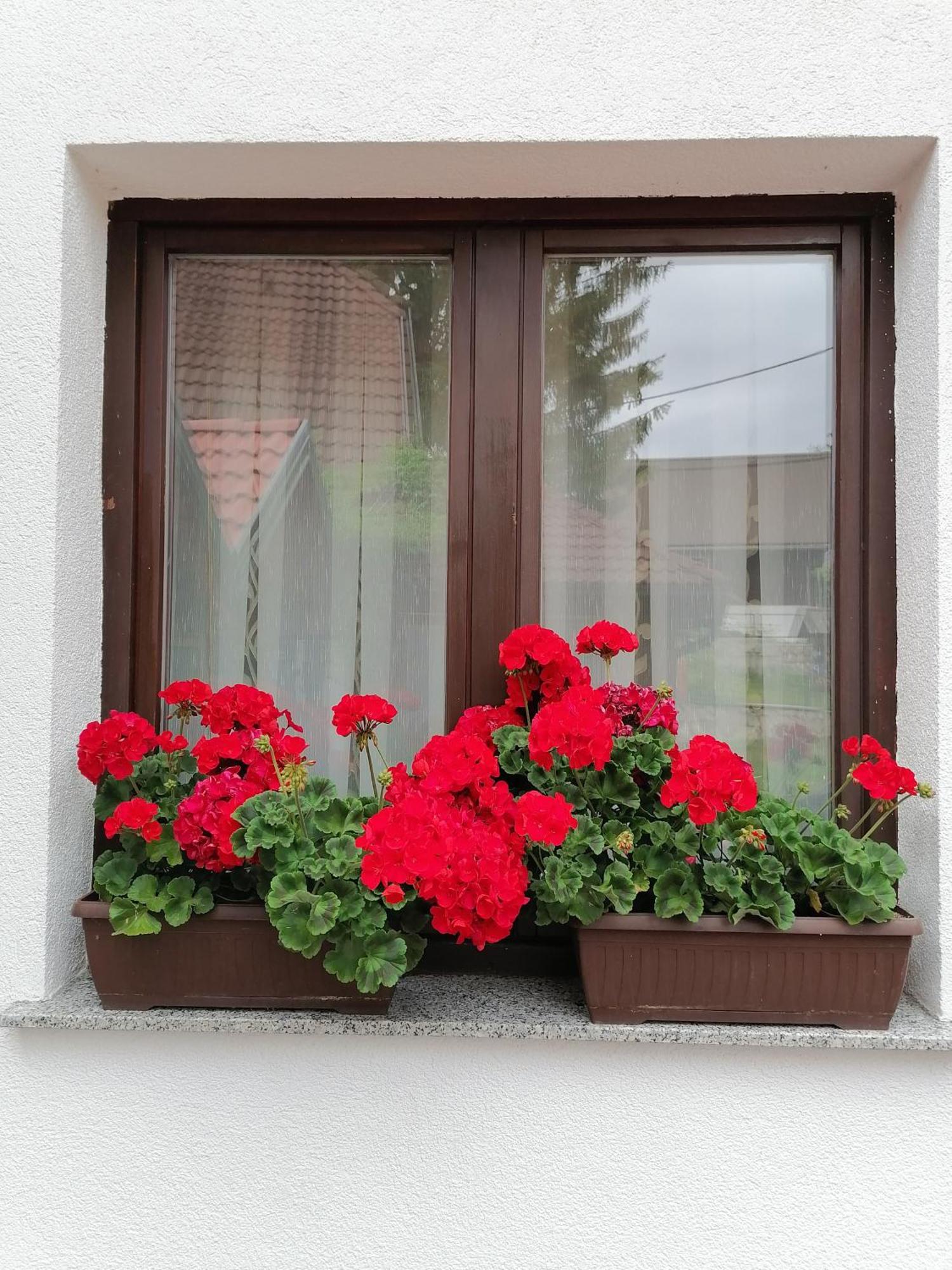 فندق House Jezerka جيزيرسي الغرفة الصورة